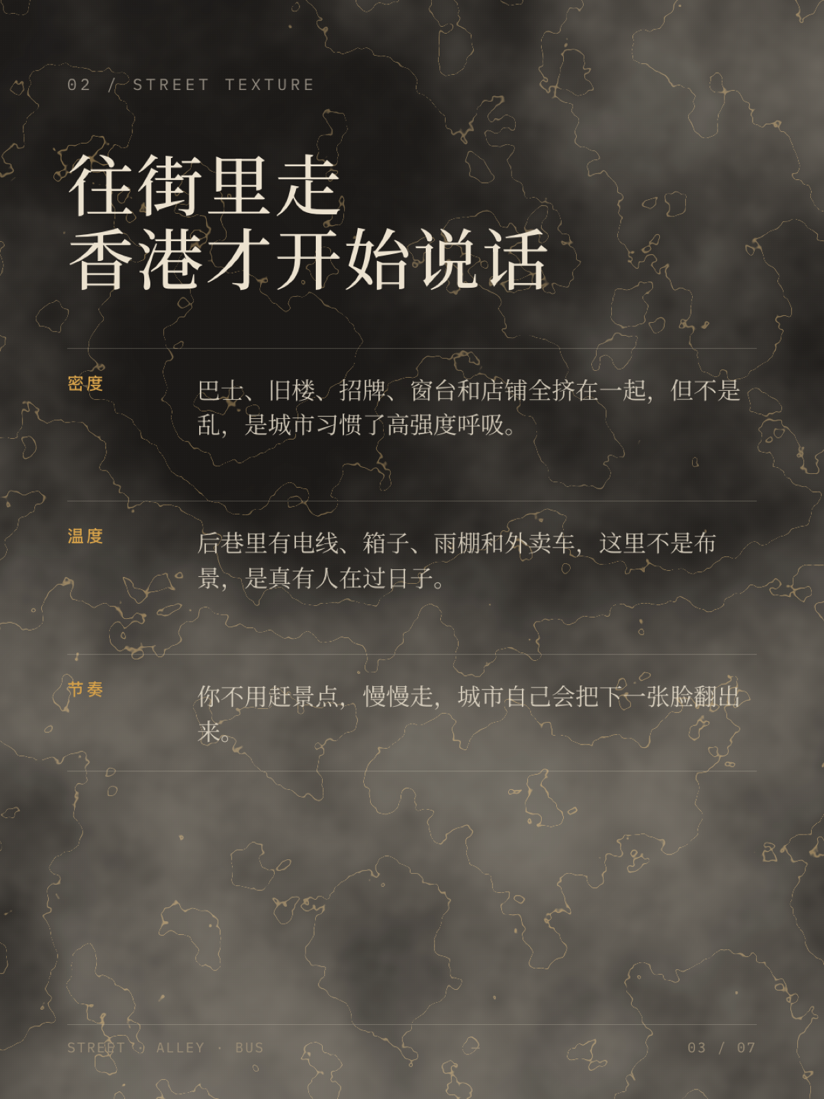 照片 03