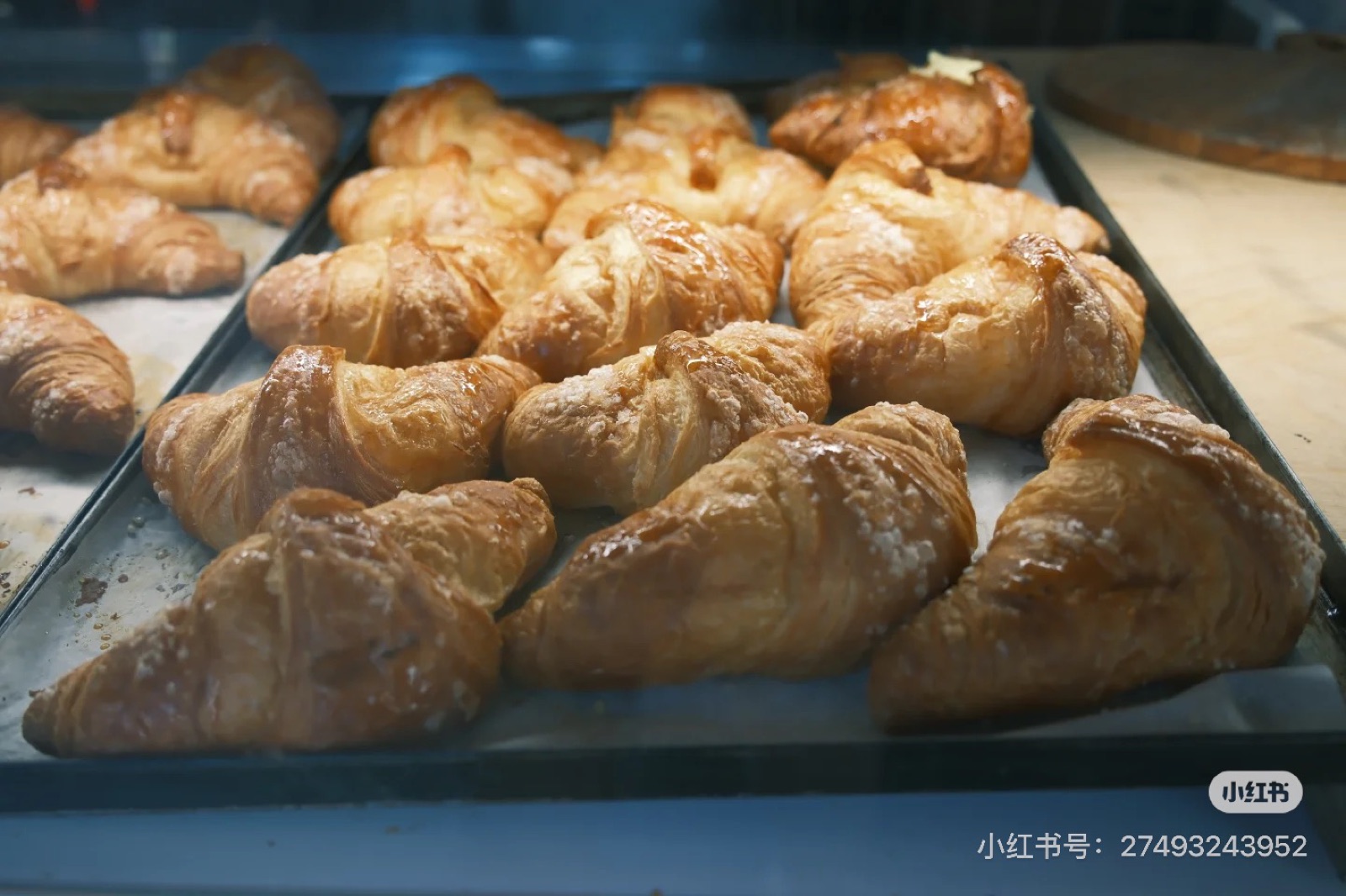 照片 18